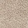 Mohawk Carpet: SP42 02